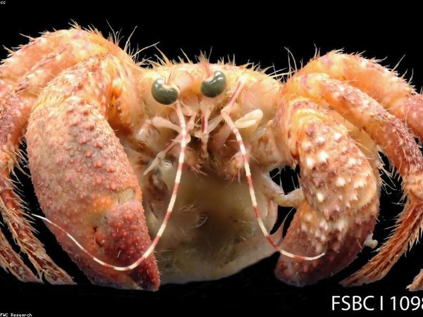 胡安卡洛斯國王大學心理學博士能提升咨詢能力嗎？ 配圖3