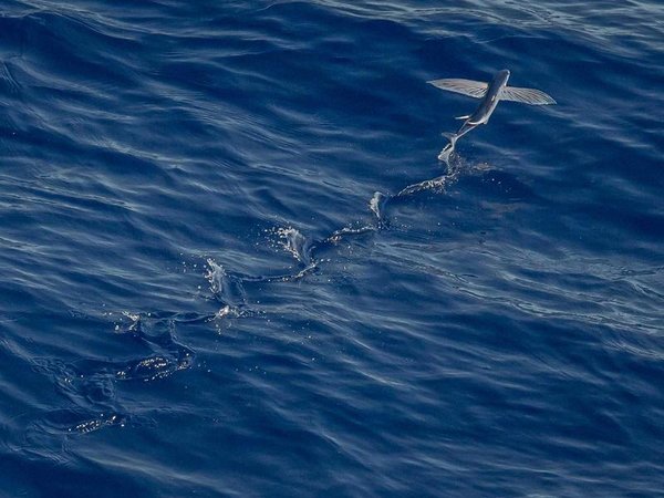 雪蘭多大學(xué)博士：職場人學(xué)歷升級的終極選擇，錯(cuò)過再無 配圖1