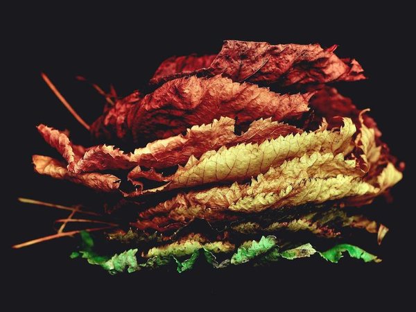 教育行業(yè) DBA 管理提升：打造教育領(lǐng)域領(lǐng)軍者 配圖2