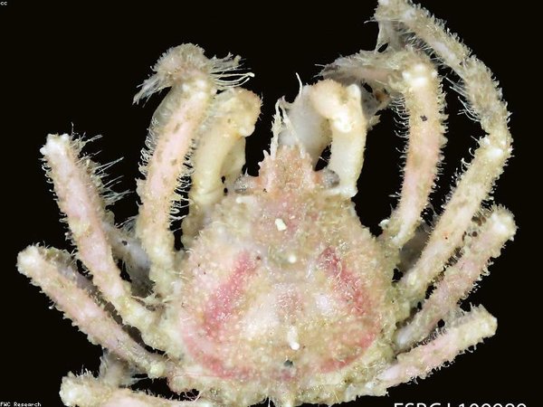 哈佛博士后面試形式，線上線下均可選擇 配圖3