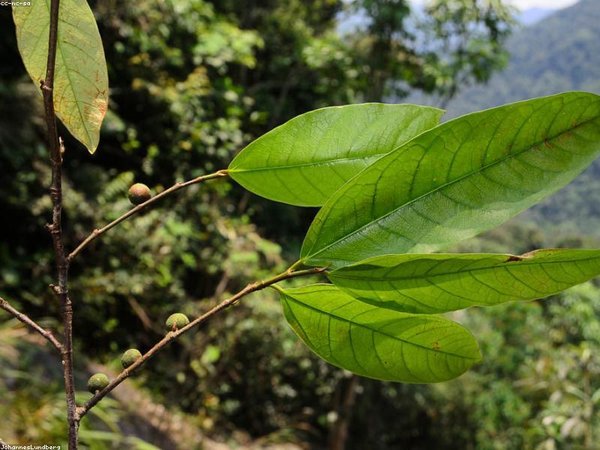 莫大博士后航天專項(xiàng)班，工程師科學(xué)家專屬 配圖1