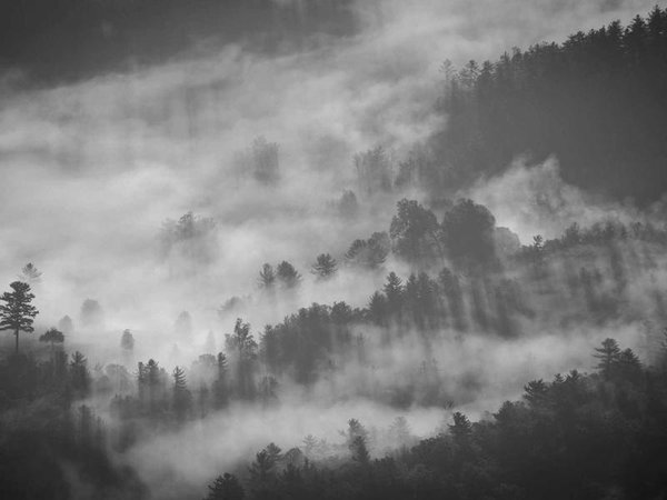 牛津博士后學(xué)費含簽證費嗎？ 配圖1