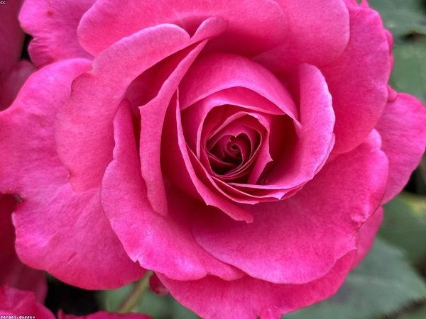 劍橋博士后申請條件有哪些？博士門檻詳解 配圖1