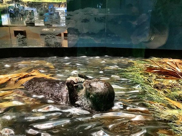 企業(yè)高管培訓(xùn)外地學(xué)員食宿安排？食宿指南 配圖2