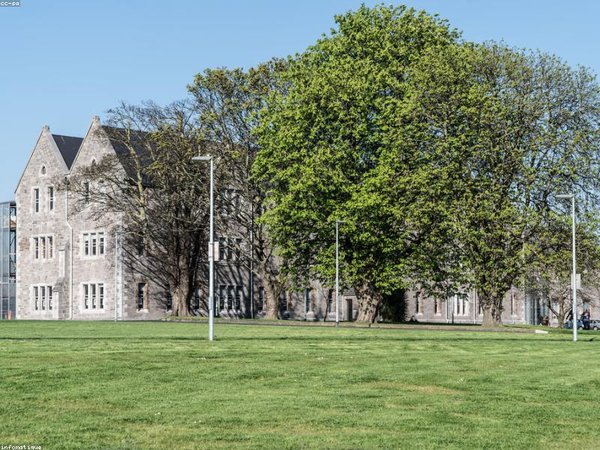 領(lǐng)導(dǎo)培訓(xùn)適合基層領(lǐng)導(dǎo)嗎？適配方案 配圖2