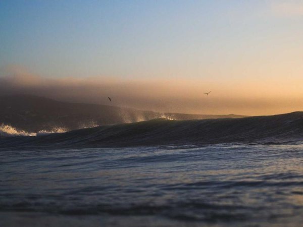 員工培訓(xùn)核心價(jià)值分析，打造高效執(zhí)行團(tuán)隊(duì) 配圖1