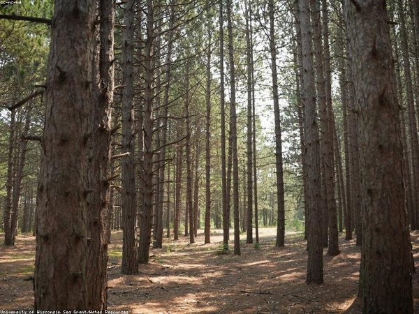 學歷提升初中能升大專嗎？ 配圖2