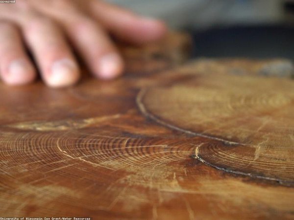 成人本科學(xué)位英語考試報(bào)名條件？ 配圖2