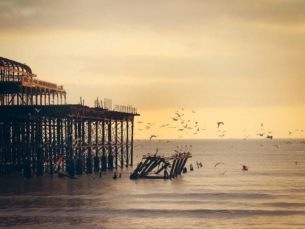 成人?？坪腿罩茖？坪鹆浚?配圖2