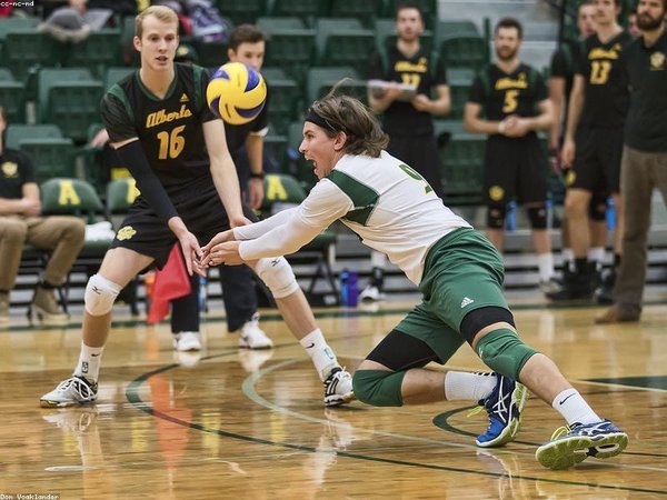 西班牙胡安卡洛斯國王大學(xué)博士DBA2026年7月開課 配圖2