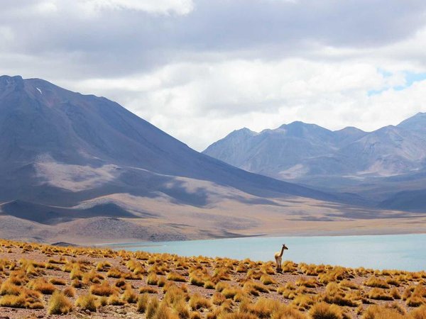 2026年10月巴黎PPA高等商學(xué)院MBA開課 配圖3