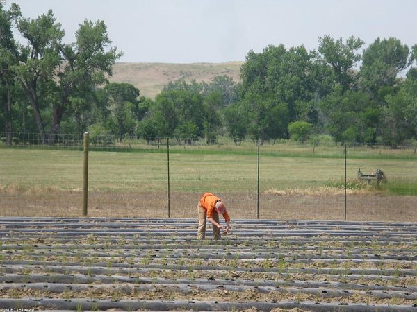 美國加州科技大學(xué)：深耕科技領(lǐng)域，傳遞專業(yè)技術(shù)知識 配圖3