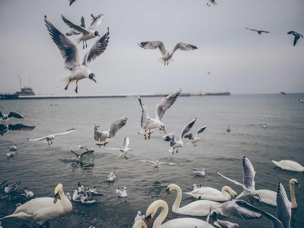 瑞士商學(xué)院：賦能國(guó)際學(xué)子，拓展全球商業(yè)視野 配圖3