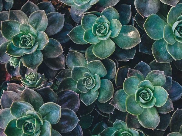 優(yōu)清商學(xué)院是否舉辦學(xué)術(shù)交流活動(dòng)？ 配圖3