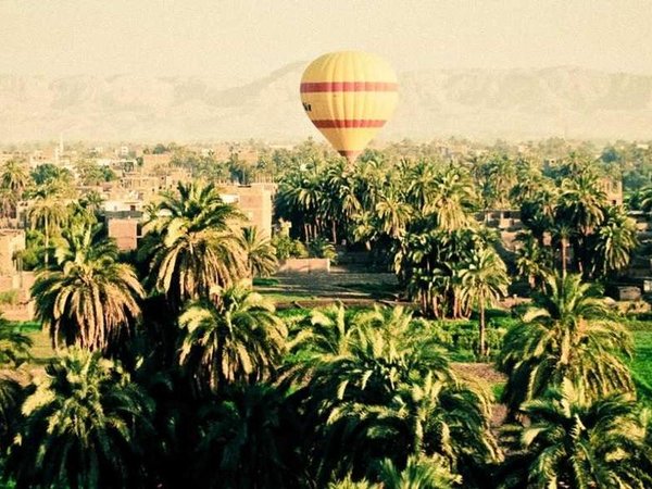 優(yōu)清商學(xué)院是否舉辦學(xué)術(shù)交流活動(dòng)？ 配圖1