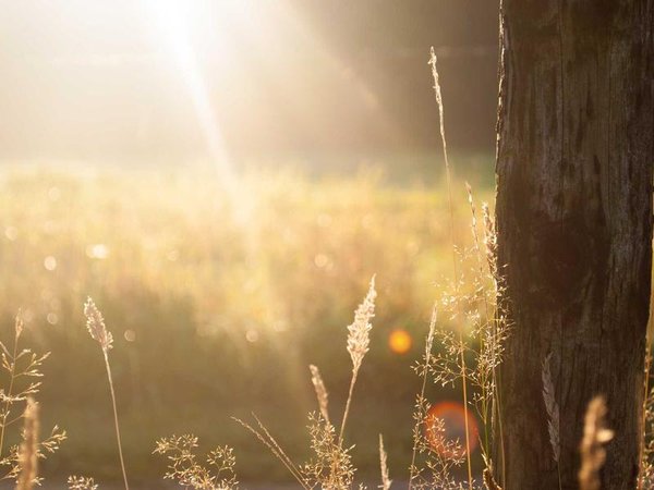 免聯(lián)考 EMBA 馬來(lái)西亞院校，中文授課熱門 配圖3