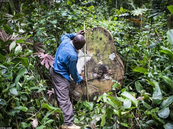 金門大學口腔醫(yī)學博士：種植醫(yī)生技術前沿深造課 配圖1