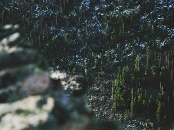 劍橋博士后面試著裝要求？ 配圖3