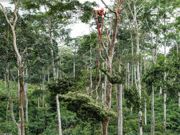 劍橋博士后面試著裝要求？ 配圖1