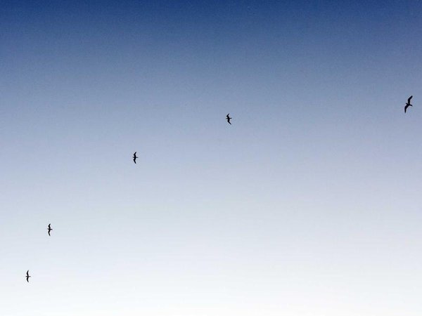 牛津博士后提前出站政策，優(yōu)秀者加速畢業(yè) 配圖3