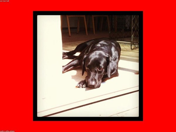 牛津博士后提前出站政策，優(yōu)秀者加速畢業(yè) 配圖2