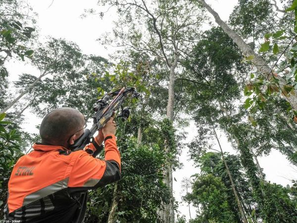牛津博士后報名開啟，在職博士優(yōu)先錄取 配圖3