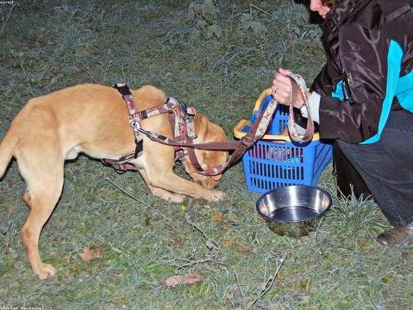 牛津博士后學(xué)費(fèi)分期 0 利息，輕松繳費(fèi)無壓力 配圖1