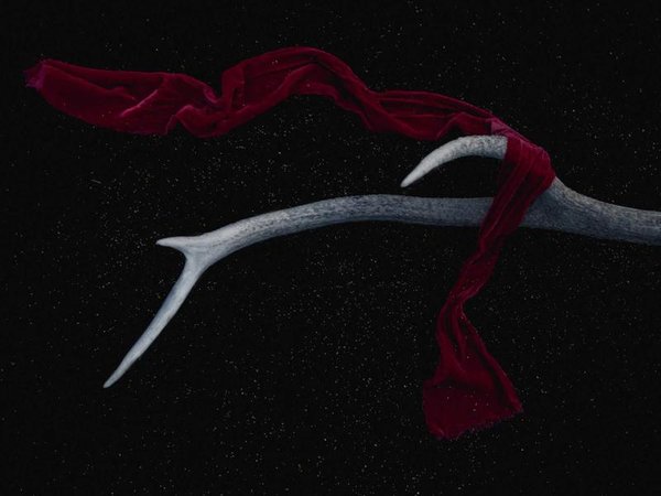 北清商學(xué)院：實(shí)戰(zhàn)導(dǎo)師 + 優(yōu)質(zhì)課程 + 強(qiáng)大校友圈 配圖1