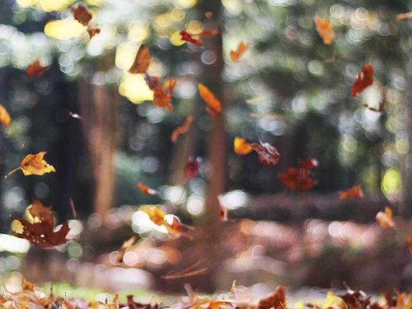 低空經(jīng)濟總裁研修班：新經(jīng)濟賽道的實戰(zhàn)研修課堂 配圖1