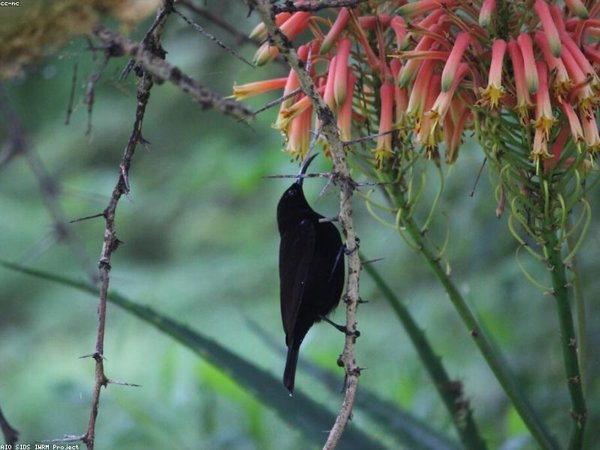 高層管理培訓老學員復訓免費？政策說明 配圖2