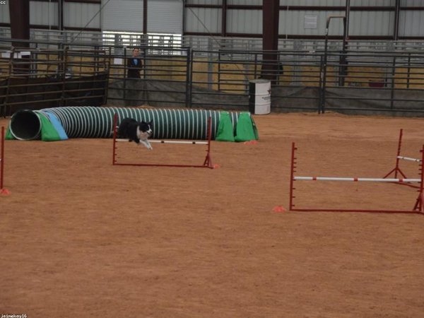 營(yíng)銷培訓(xùn)線上學(xué)習(xí)平臺(tái)，打破地域?qū)W習(xí)限制 配圖3