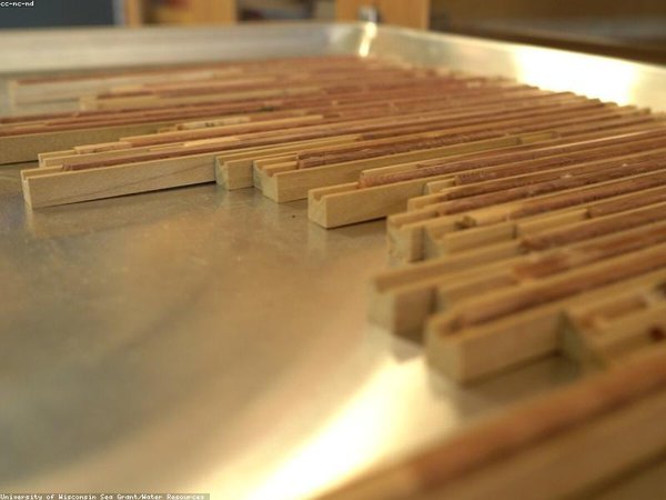 新能源產(chǎn)業(yè)創(chuàng)新經(jīng)營班2026年7月開課 配圖2