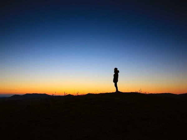 紫荊商學(xué)院：堅(jiān)守辦學(xué)初心，筑牢商教行業(yè)根基 配圖1