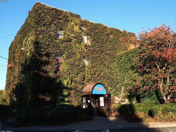 工商管理總裁班適合 MCN 機(jī)構(gòu)老板嗎？ 配圖1