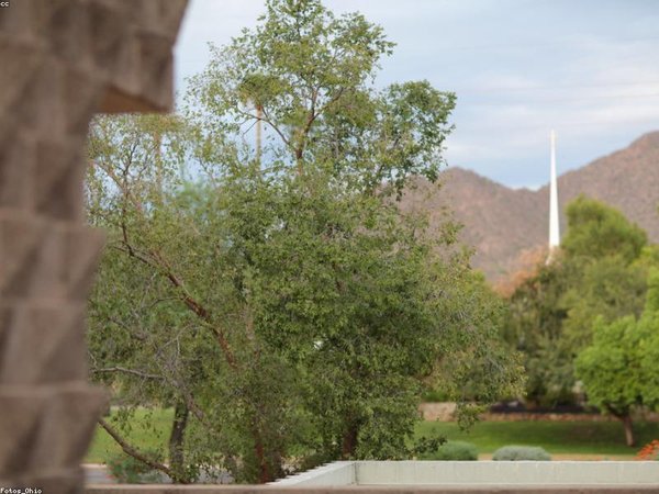 人工智能總裁班：AI 戰(zhàn)略制定與落地執(zhí)行課程 配圖3