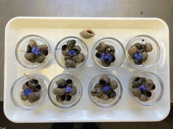 領(lǐng)導(dǎo)力課程費用包含什么？明細(xì) 配圖2