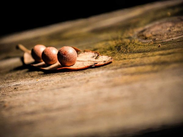 高管培訓怎么報名最省錢？內(nèi)部報名攻略曝光 配圖2