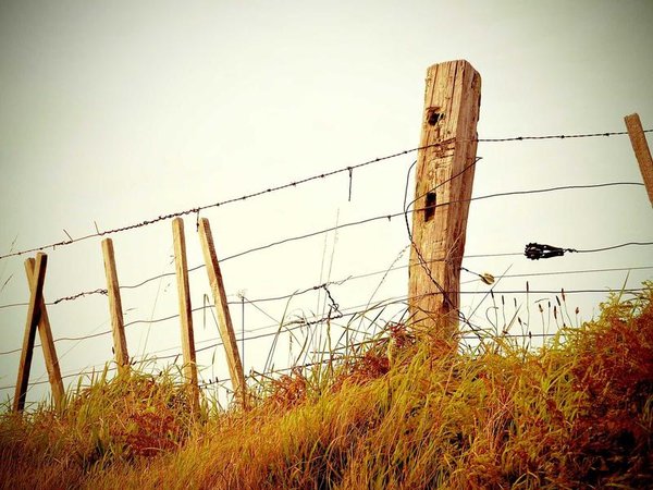 免聯(lián)考 EMBA 醫(yī)療健康方向，大健康風(fēng)口 配圖1